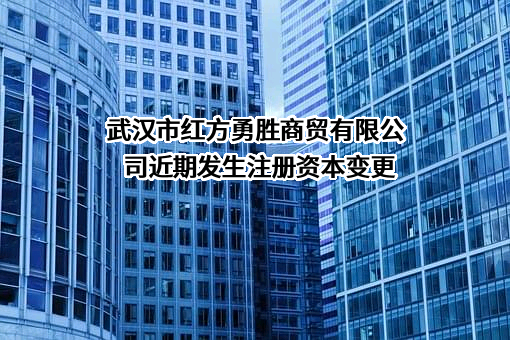 武汉市红方勇胜商贸有限公司