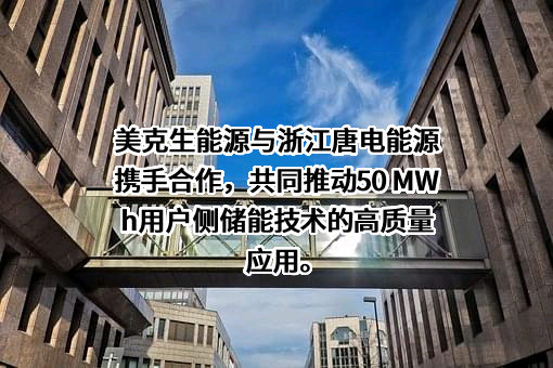 上海玫克生储能科技有限公司