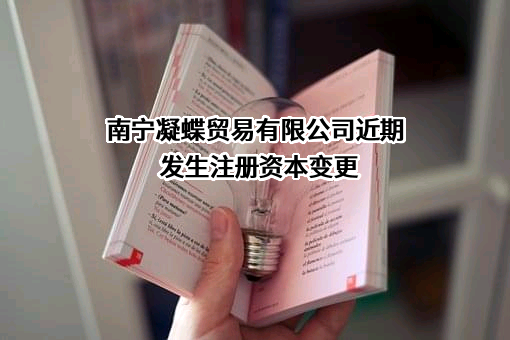 南宁凝蝶贸易有限公司
