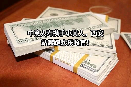 中意人寿保险有限公司