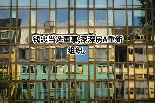 深圳经济特区房地产（集团）股份有限公司