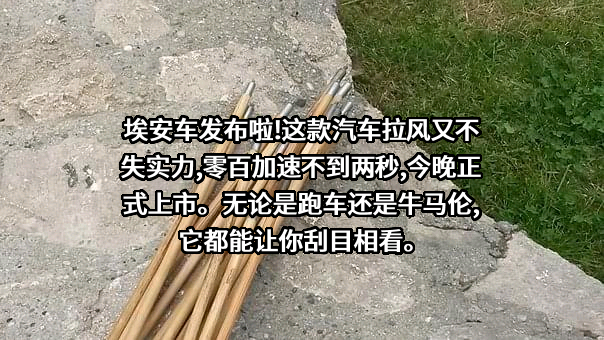 广汽埃安新能源汽车股份有限公司