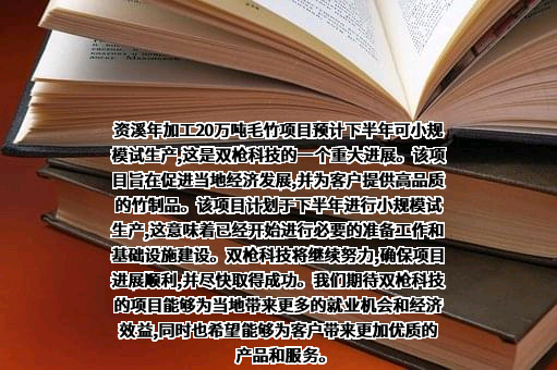 双枪科技股份有限公司