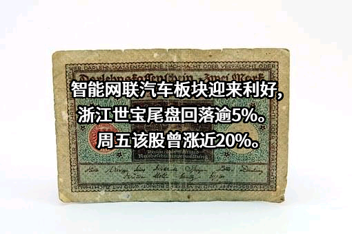 浙江世宝股份有限公司