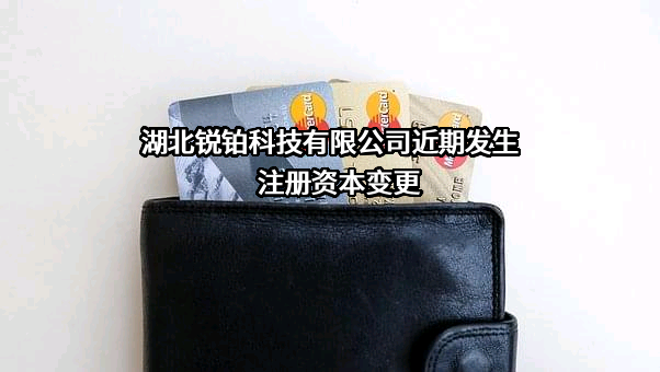 湖北锐铂科技有限公司