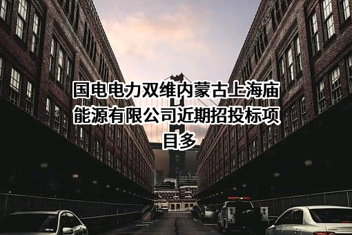 国电电力双维内蒙古上海庙能源有限公司
