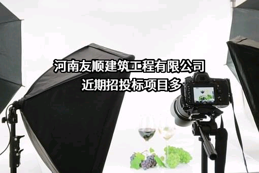河南友顺建筑工程有限公司