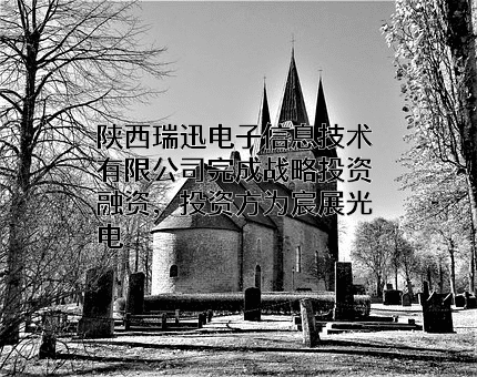 陕西瑞迅电子信息技术有限公司