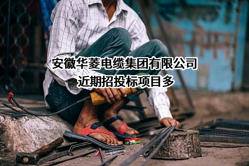 安徽华菱电缆集团有限公司