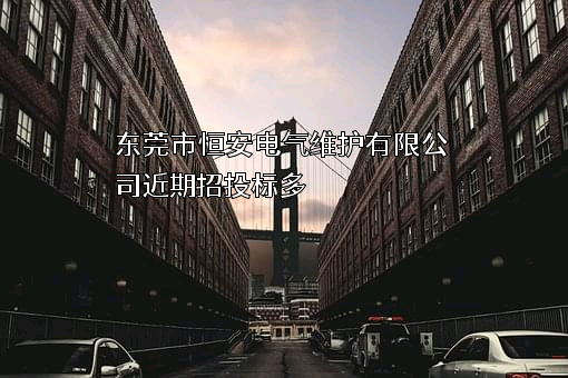 东莞市恒安电气维护有限公司
