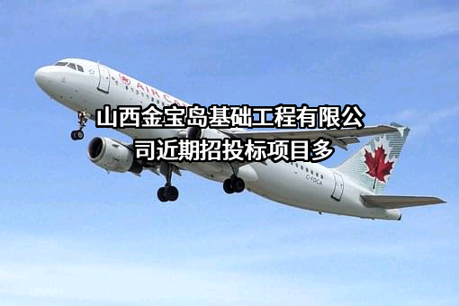 山西金宝岛基础工程有限公司