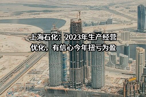 中国石化上海石油化工股份有限公司