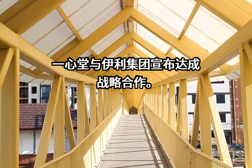 大连伊利诺集团有限公司