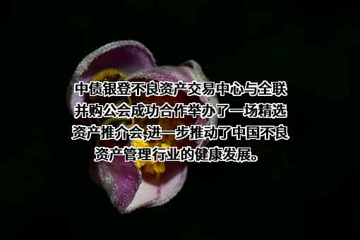 全联并购公会