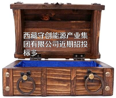 西藏守创能源产业集团有限公司