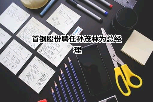 北京首钢股份有限公司