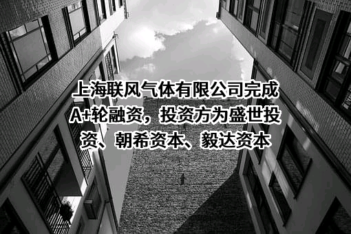 上海联风气体有限公司