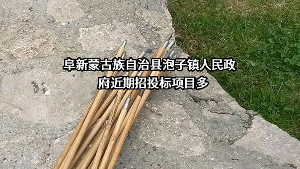 阜新蒙古族自治县泡子镇人民政府近期招投标项目多