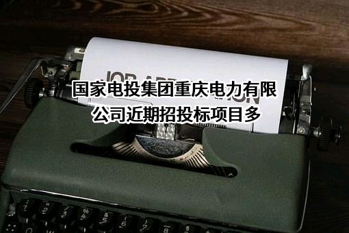 国家电投集团重庆电力有限公司