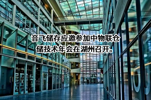 南京音飞储存设备（集团）股份有限公司