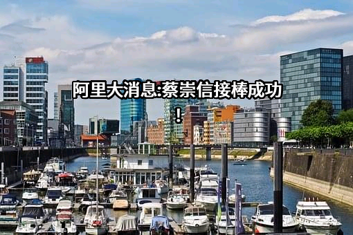 阿里巴巴集团控股有限公司