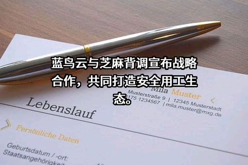 北京蓝鸟云科技有限公司