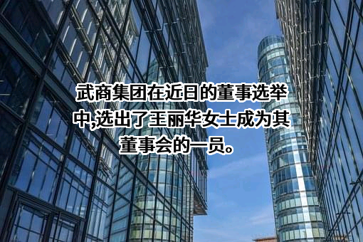 武商集团股份有限公司