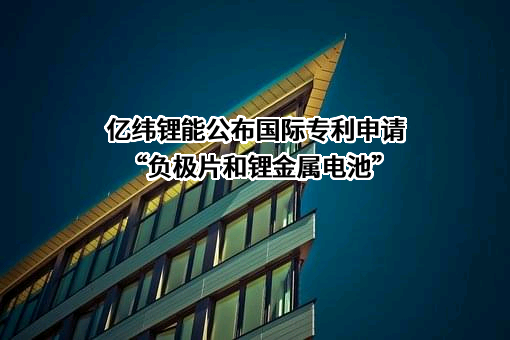 惠州亿纬锂能股份有限公司