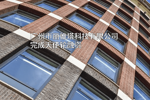 广州市丽惟塔科技有限公司