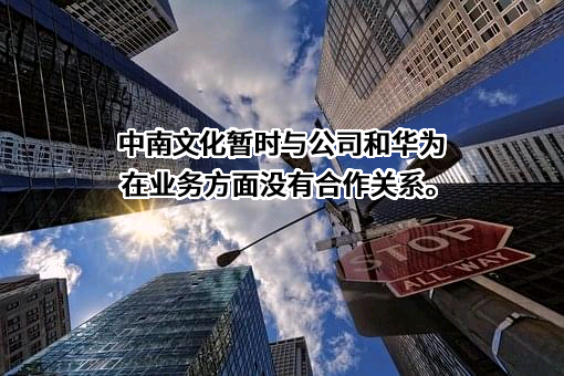 中南红文化集团股份有限公司