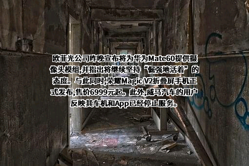 华为技术有限公司