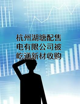杭州湖塘配售电有限公司