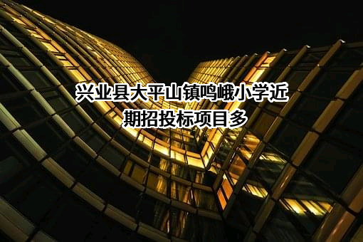 兴业县大平山镇鸣峨小学