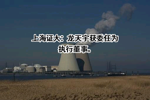 上海证大房地产有限公司