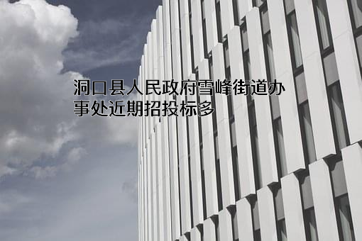 洞口县人民政府雪峰街道办事处近期招投标项目多