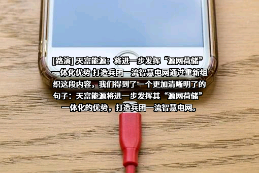 新疆天富能源股份有限公司