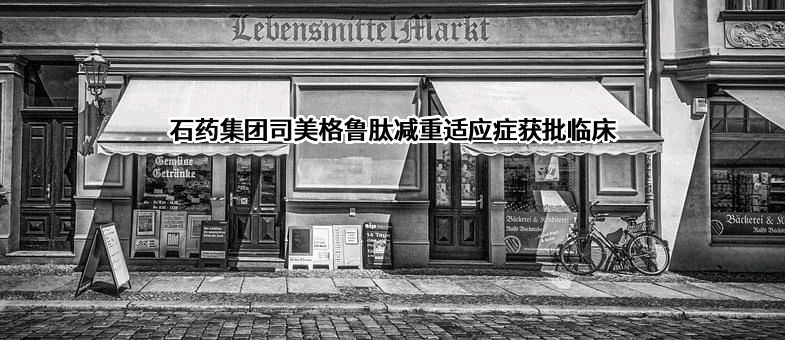 石药控股集团有限公司