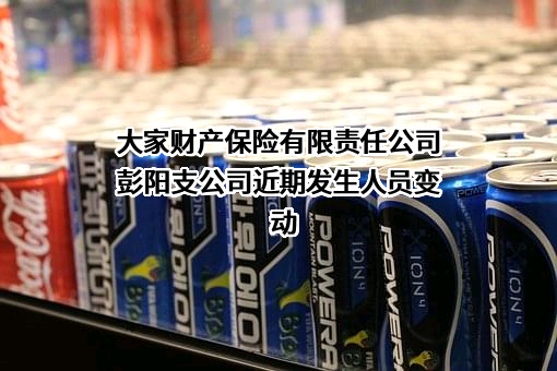 大家财产保险有限责任公司彭阳支公司近期发生人员变动