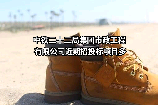 中铁二十二局集团市政工程有限公司