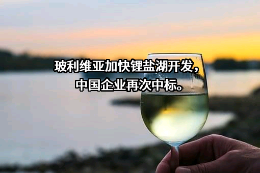 中信国安信息产业股份有限公司