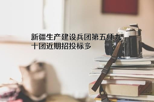 新疆生产建设兵团第五师九十团