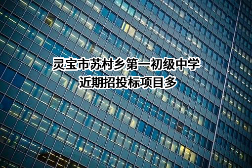 灵宝市苏村乡第一初级中学
