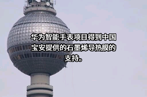 华为技术有限公司
