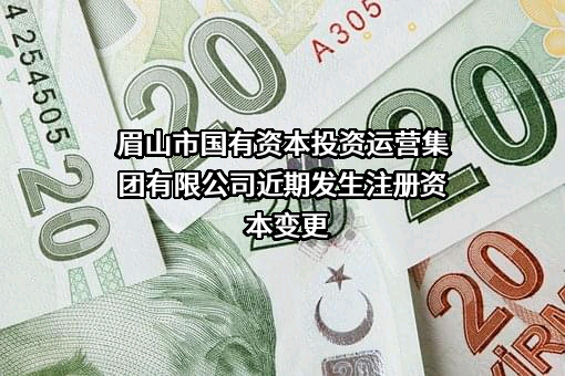 眉山市国有资本投资运营集团有限公司