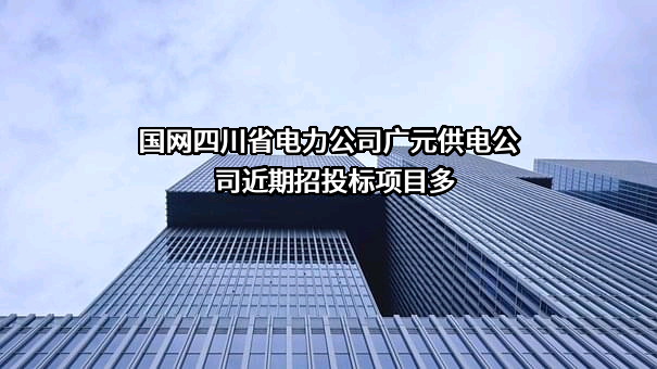 国网四川省电力公司广元供电公司