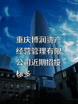 重庆博润资产经营管理有限公司