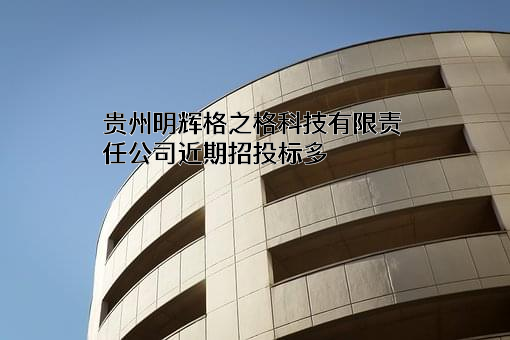 贵州明辉格之格科技有限责任公司