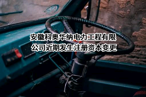 安徽科奥华纳电力工程有限公司