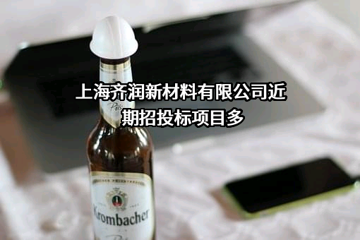 上海齐润新材料有限公司