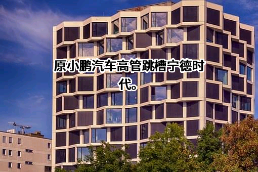 宁德时代新能源科技股份有限公司